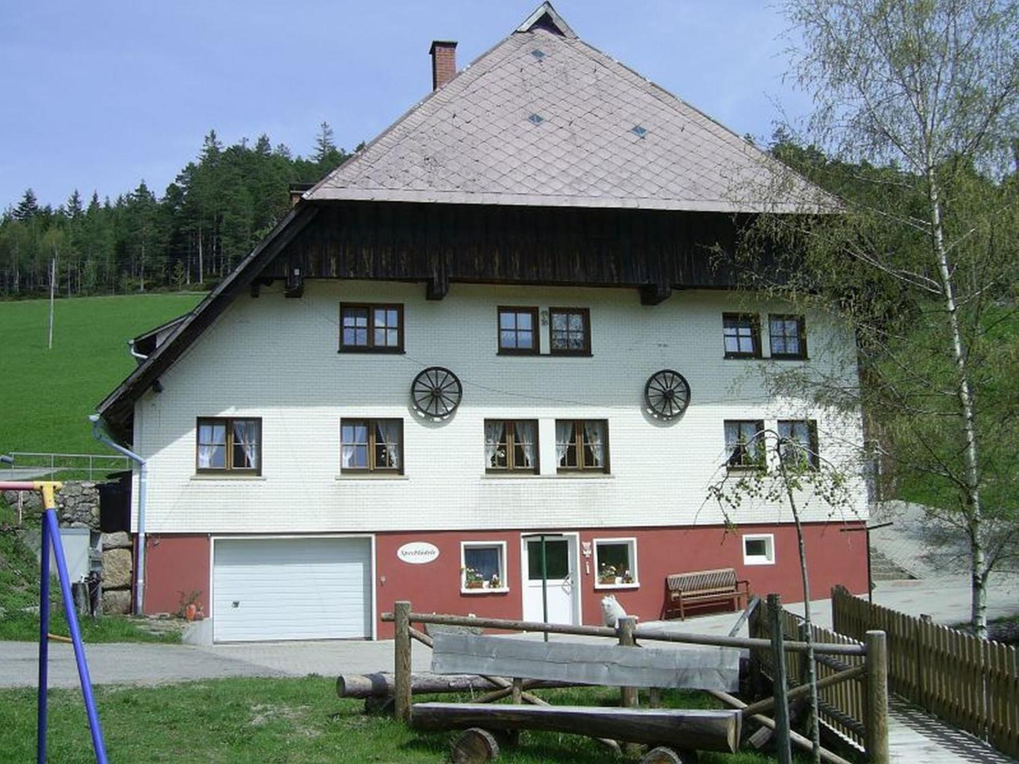 Villa Hinterhauensteinhof Hornberg Exterior foto